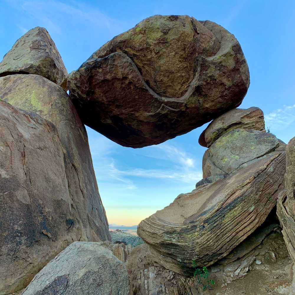 Meet your Posher, Wellwornsupply